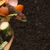 Unlocking Home Composting Potential with Earthfirst<sup>®</sup> Sustainable Packaging
